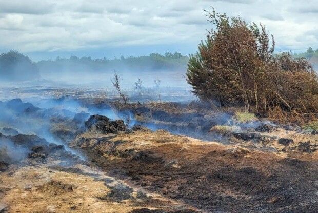 На Волині продовжує горіти торф: рятувальники працюють безперервно