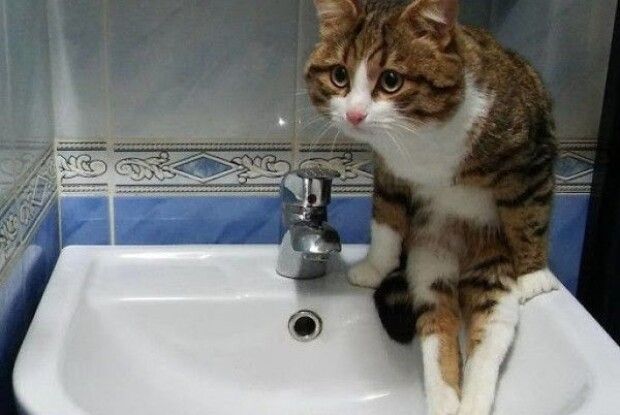 У Луцьку в двох мікрорайонах не буде гарячої води