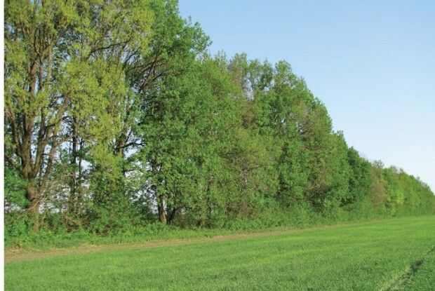 На Волині в міської ради забрали 385 гектарів землі 