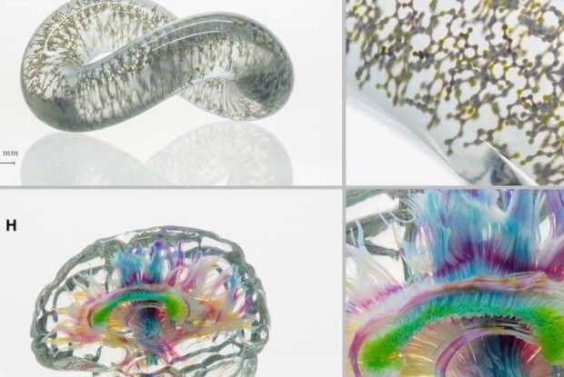 Унікальна технологія дасть змогу друкувати органи людського організму