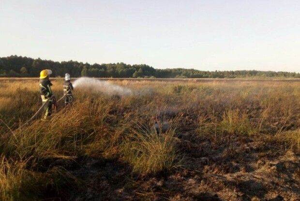 На Волині горіло більше 2 гектарів трави та чагарників