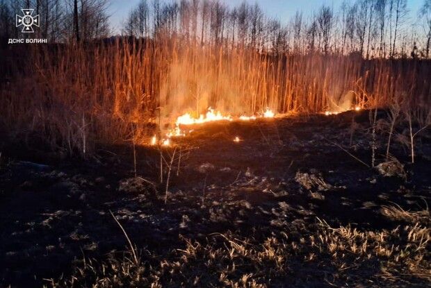 На Волині сильно палало біля села Партизанського