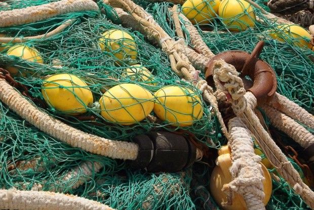 Волинянина покарають за браконьєрство на Пісочному