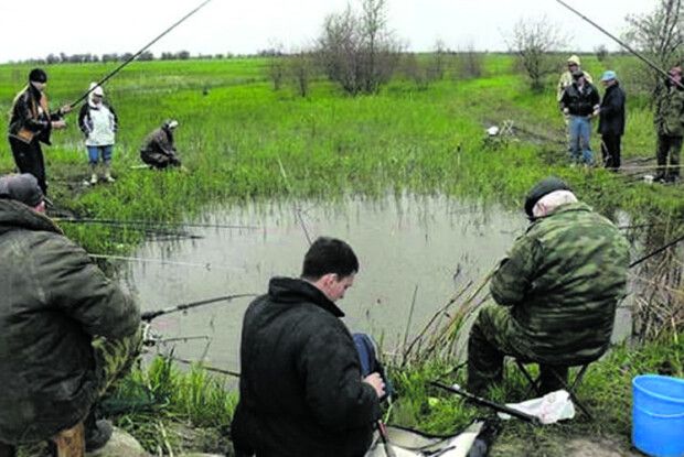 В траві зеленій квакають – Сміються жаби всі: Рибалок — ціла армія, В ставку — два карасі!