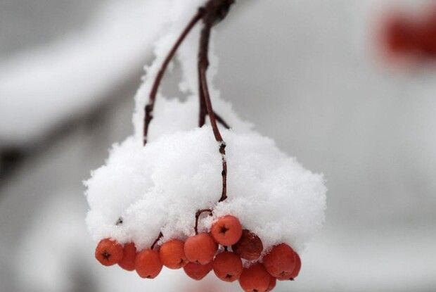 Погода на Волині: ще два дні тріскучих морозів, а далі – відлига 