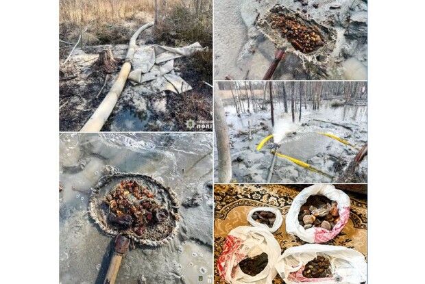 На Рівненщині викрили групу чорних копачів бурштину
