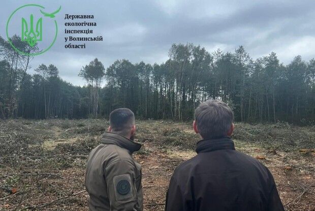На Волині збитки від «чорних лісорубів» перевищили 10 мільйонів гривень