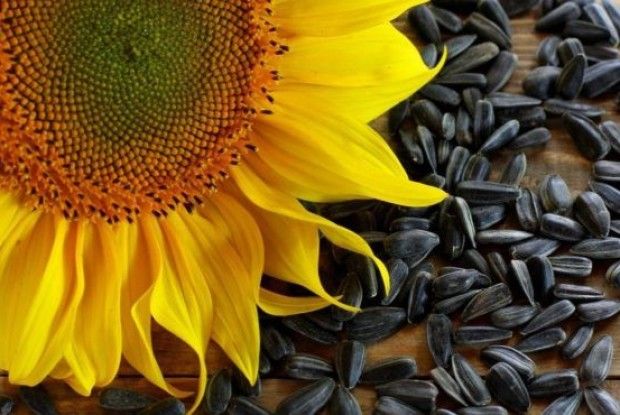 Електрика з лушпиння?