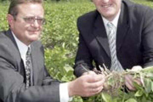 АГРАРНА НАУКА ВОЛИНІ