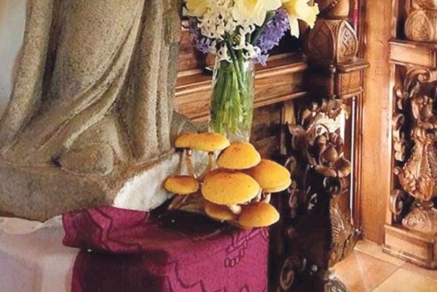 У церкві біля статуї святого... виросли гриби