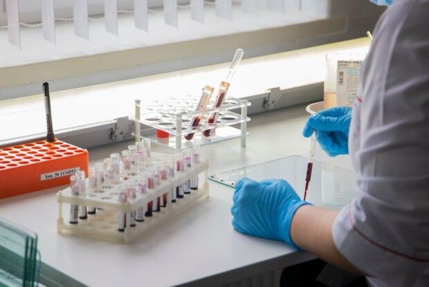 Кір, кашлюк, ботулізм і сказ – що загрожує волинянам влітку