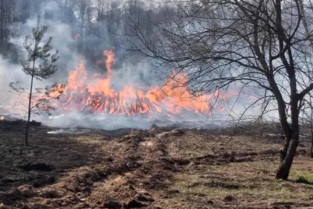 Поблизу сміттєзвалища знайшли тіло дитини