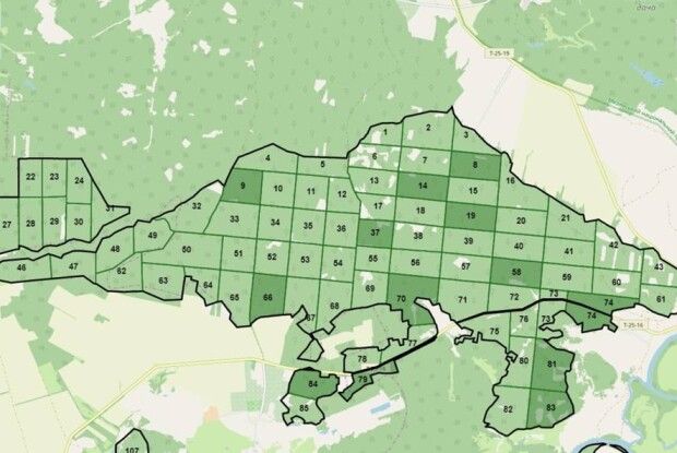 Ліс вже у смартфоні