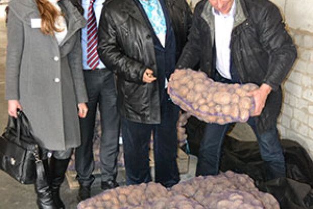 ГОЛЛАНДЦІ У ЗАХОПЛЕННІ ВІД ВОЛИНСЬКОЇ БУЛЬБИ