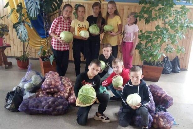 Жителі Сошичного зібрали картоплю й овочі для  обласного госпіталю ветеранів