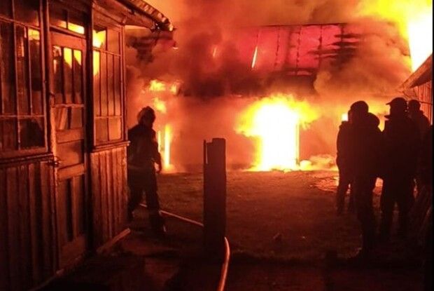 На Рівненщині в пожежі заживо згоріла худоба (Фото) 