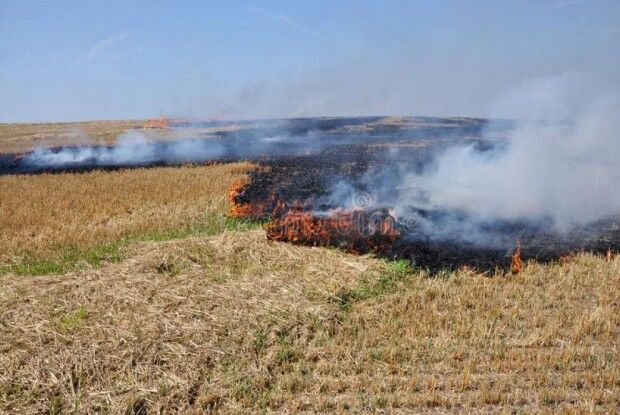 На Волині попеклася вогнем жінка, яка підпалила стерню й намагалася сама її загасити