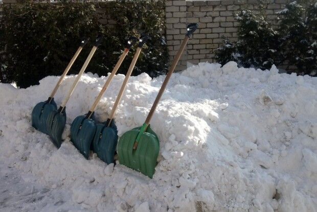 Взялися дружно за лопати: міський голова очолив громадську толоку з розчищення снігу (Фото. Відео)