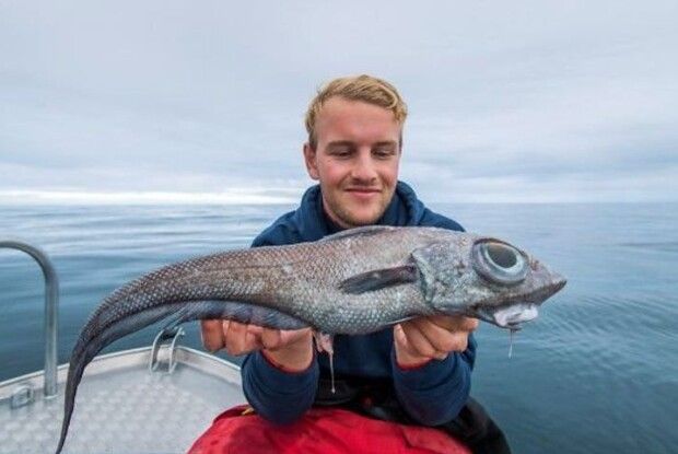 Рибалка упіймав рибу-монстра