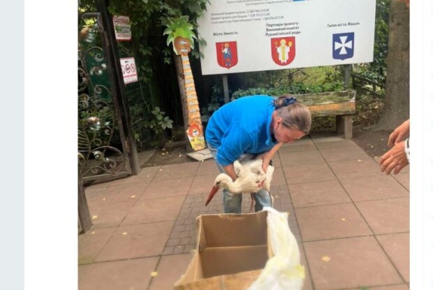 На Волині газета допомогла врятувати пораненого лелеку