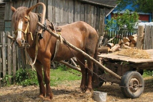 На Волині невідомі напали на віз селянина