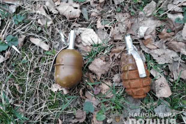 У Рівному під ялинкою біля вишу виявили дві гранати (Фото)