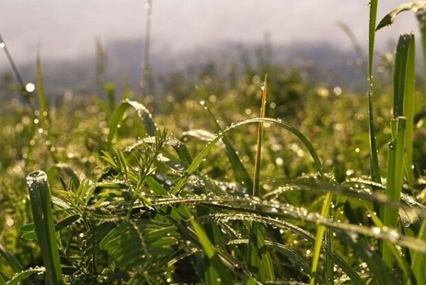 Якою буде погода завтра на Волині