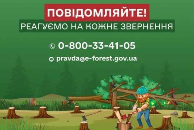 Жителів Волині та Рівненщини просять повідомляти про незаконні порубки лісу та роботу нелегальних пилорам