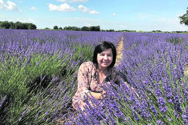 Лавандовий рай привезла  із Франції на Полісся