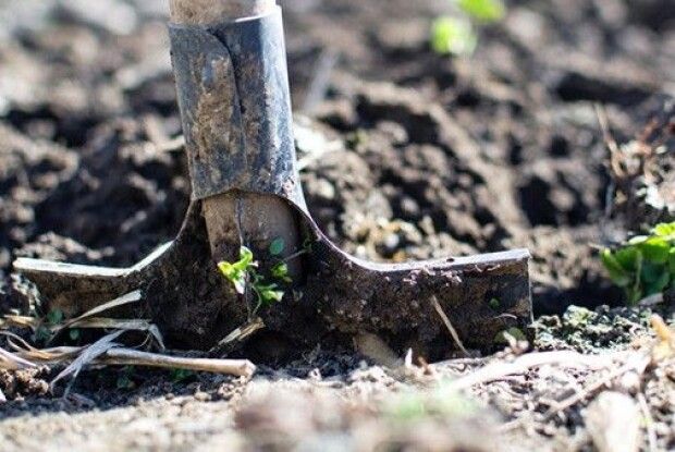 Двоє нововолинців спочатку катували знайомого,а потім... закопали його у териконі