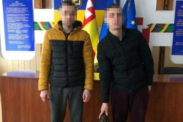 Чоловіки, які поцупили вночі луцького кликуна, покарані судом