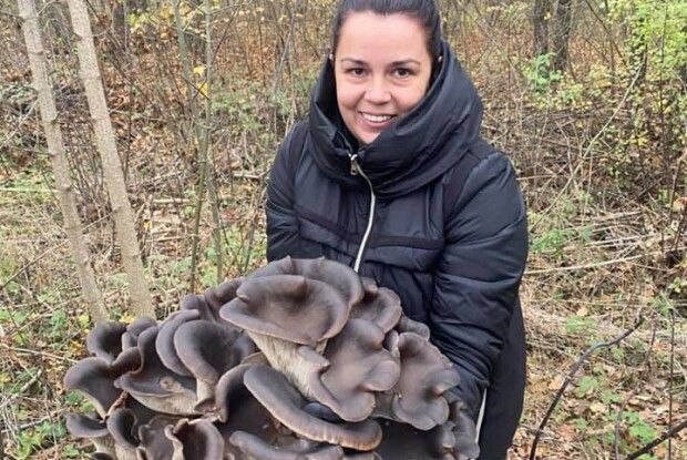 На Рівненщині мисливиця за грибами вполювала кущ глив, під який можна випити добре відро горілки (Фото)