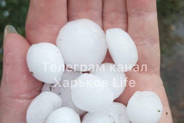 У Харкові випав великий град: людям побило городину (Фото)