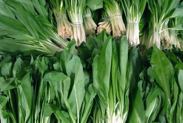 У Луцьку жінка продавала червонокнижну черемшу