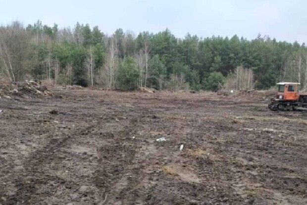 У громаді на Волині за майже 50 тисяч впорядкували сміттєзвалища