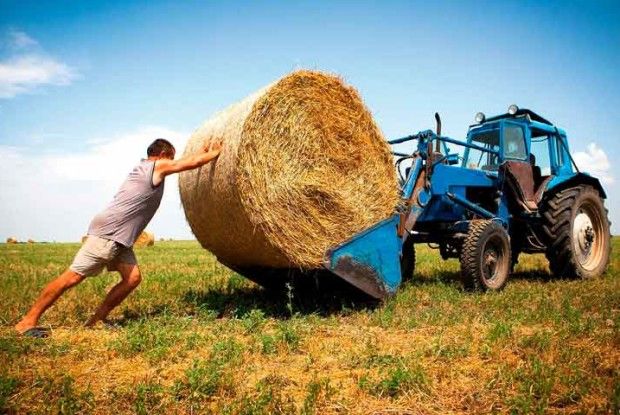 Чому Горохівщині припадає мало грошей на розвиток АПК?