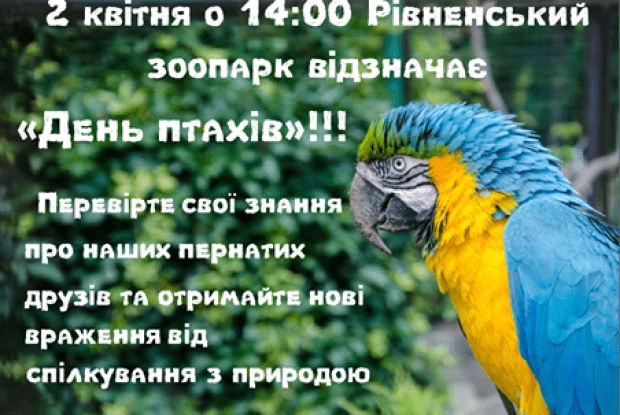Завтра Рівненський зоопарк кличе всіх до себе – відзначити День птахів
