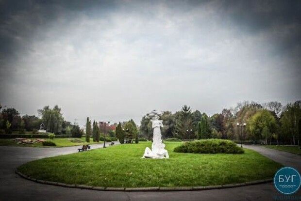 У Володимирі-Волинському порахували всі дерева, колючі та неколючі кущі