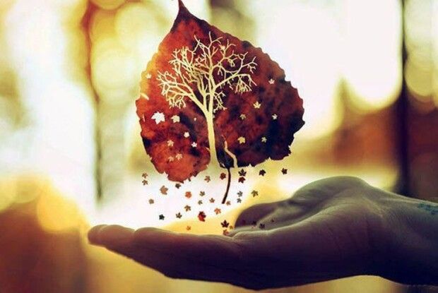 12 принципів НІКОЛИ