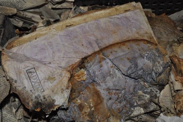 Знайдено схованку із раритетними документами ОУН (фото)