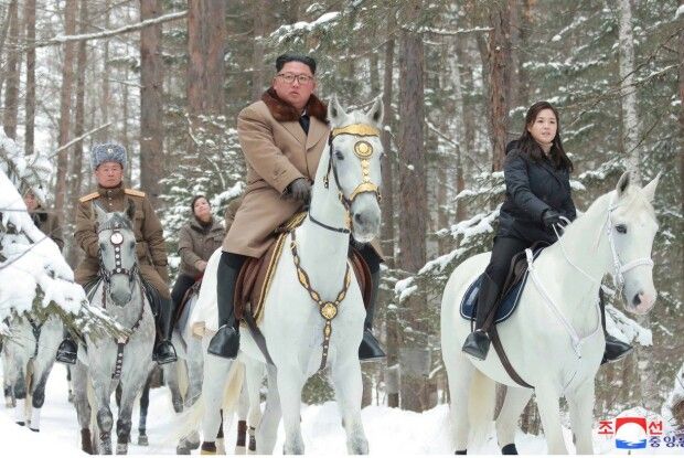 За смертельні удари по Україні путін «розплатився» з Кім Чен Ином породистими кіньми