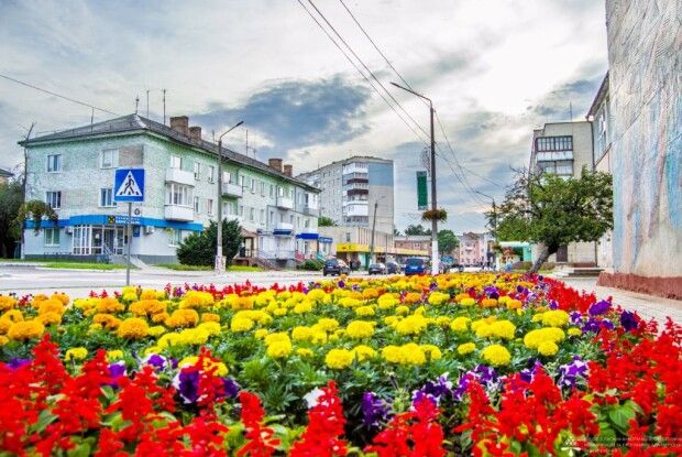 Більше ста тисяч штук квітів висадили у Нововолинську