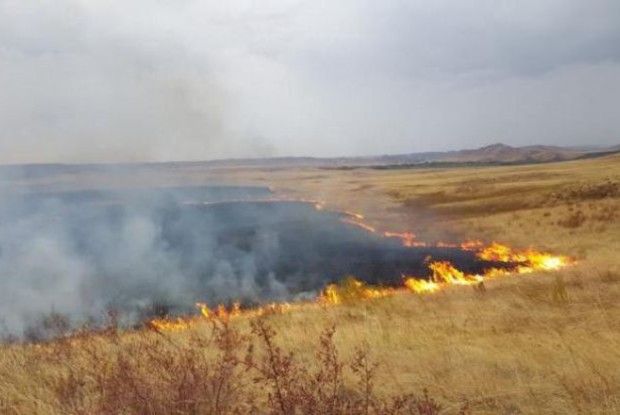 На Любешівщині горіло торфовище