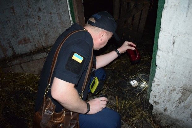 На Рівненщині в хліві згоріли двоє маленьких дітей