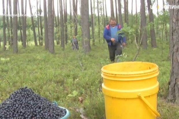 Жителів Полісся пускатимуть у Білорусь по ягоди та гриби