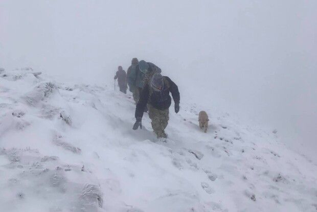 У люту заметіль чотирилапий гід вивів волинян аж на Говерлу (Фото)