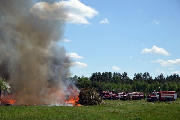 На Камінь-Каширщині учора локалізували 5 пожеж у лісі