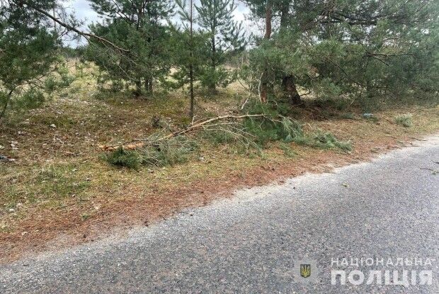 На Волині мотоцикліст влетів у дерево