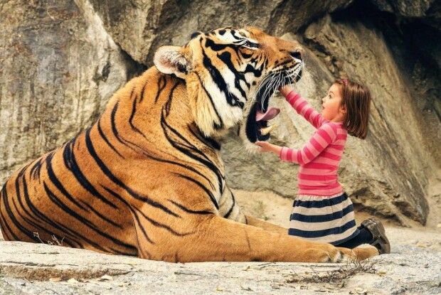 Маленькі тигренята: якими будуть дітки, народжені у 2022-му