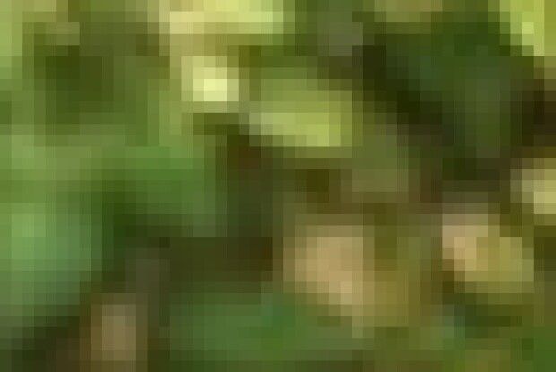 На Волині показали відео, як витягують з колодязя юнака